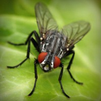 /album/goudmijnen/photolia-a01-jpg/