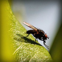 /album/goudmijnen/photolia-a04-jpg/