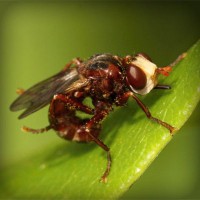 /album/goudmijnen/photolia-a06-jpg/