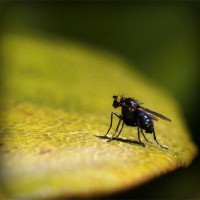 /album/goudmijnen/photolia-a07-jpg/